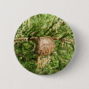 Search for mantids badges Bugs