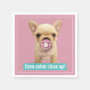 Search for funny pacifiers Avanti press