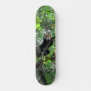 Search for mammals skateboards Wildlife