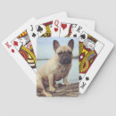 Search for frenchy playing cards Pets