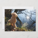Search for funny bear cards Wildlife