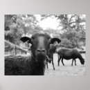 Search for sheep painting posters Black