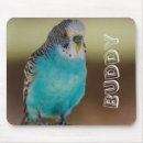 Search for parakeet electronics Blue