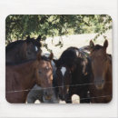 Search for buddy mousepads Animals