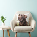 Search for chocolate labrador cushions Animal