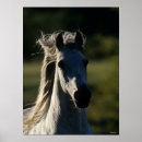 Search for backlit posters Breed