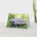 Search for tortoise birthday cards Reptile