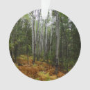 Search for birch trees christmas tree decorations Fall