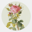 Search for rosa stickers Botany