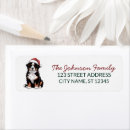 Search for mountain dog return address labels Bernese