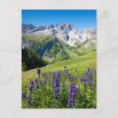 Search for foreground postcards Vertical