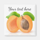 Search for apricot magnets Fruit