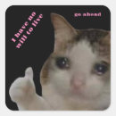 Search for cat meme stickers Joke