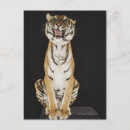 Search for platform postcards Wildlife