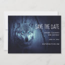 Search for predator invitations Wild animal