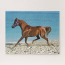 Search for sea horse puzzles Stallion