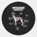 Search for whippet stickers Puppy