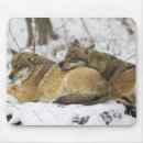 Search for lying down mousepads Resting
