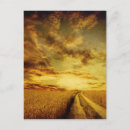 Search for old paper background postcards Grunge