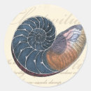 Search for seashell stickers Ocean