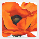Search for red flower stickers Poppies