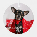 Search for pet first christmas tree decorations Cute