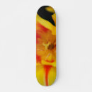 Search for tulips skateboards Garden