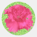 Search for carnation stickers Pretty