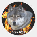 Search for forest fire stickers Wolf