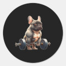 Search for bodybuilders stickers Weightlifting