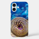 Search for aquatic life iphone cases Marine