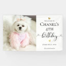 Search for dog birthday banners Pet