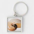 Search for fragile key rings Sealife