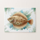 Search for flatfish Flounder