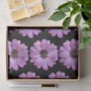 Search for daisies tissue paper Nature