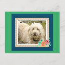 Search for breakfast foods postcards Funny