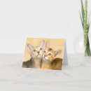 Search for abyssinian kittens Cat