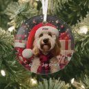 Search for labradoodle christmas tree decorations Funny