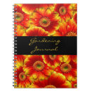 Search for orange gerbera Flower