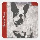 Search for boston stickers Cute