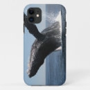 Search for humpback iphone cases Breaching