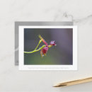 Search for raindrops postcards Elegant
