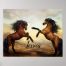Search for horse stable posters Stallion