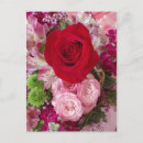Search for assortment postcards Photography