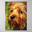 Search for adoreable posters Cute