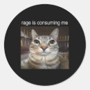 Search for political cat stickers Kitten