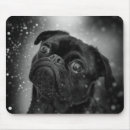 Search for black pug gifts Animal