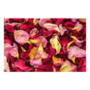 Search for dried flowers posters Abstract