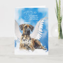 Search for harlequin great dane Danes