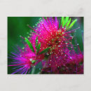Search for neon flowers postcards Pink